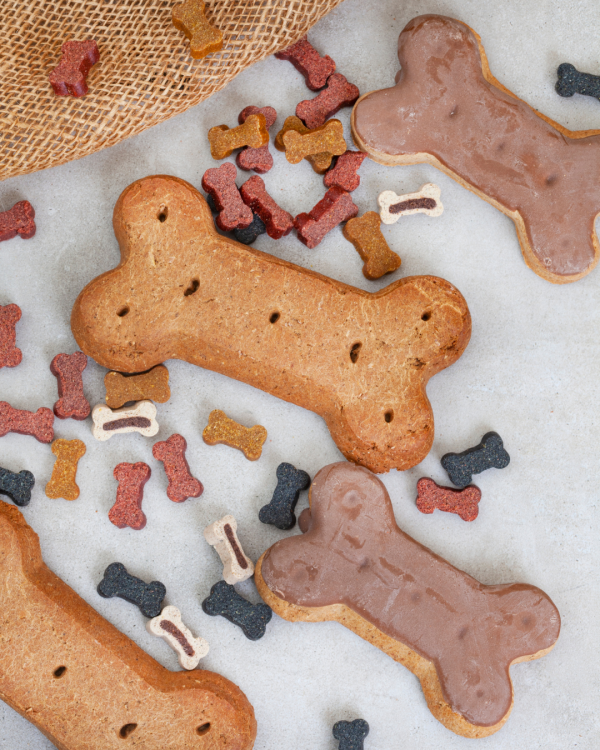 Blueberry & Oat Mini Biscuits